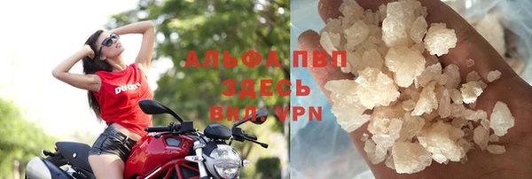 прущие грибы Майский
