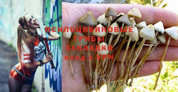 прущие грибы Майский