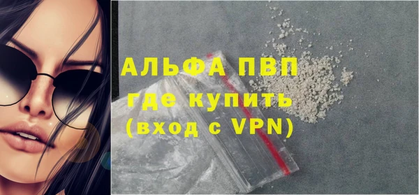 прущие грибы Майский
