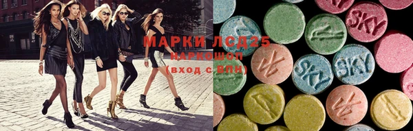 прущие грибы Майский