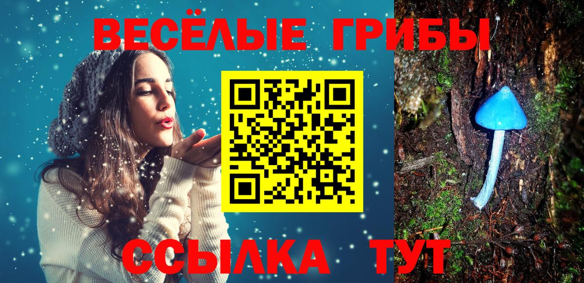Псилоцибиновые грибы GOLDEN TEACHER  Егорьевск 