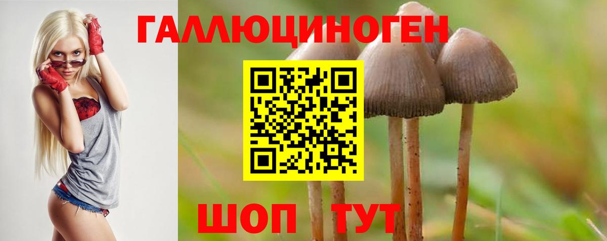 Галлюциногенные грибы Cubensis Егорьевск